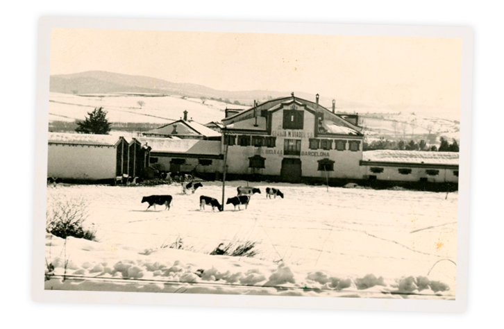 Granja Letona